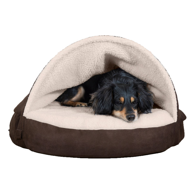 Burrow dog shop bed wayfair